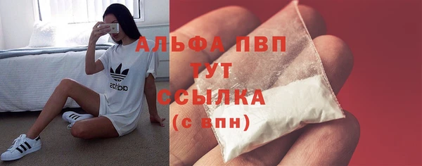 трава Сясьстрой