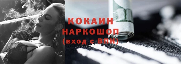 гашик Бородино