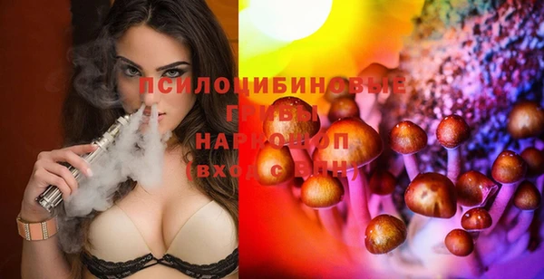 ГАЛЛЮЦИНОГЕННЫЕ ГРИБЫ Волоколамск