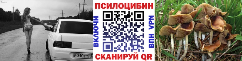Псилоцибиновые грибы Psilocybe  блэк спрут ONION  Глазов 
